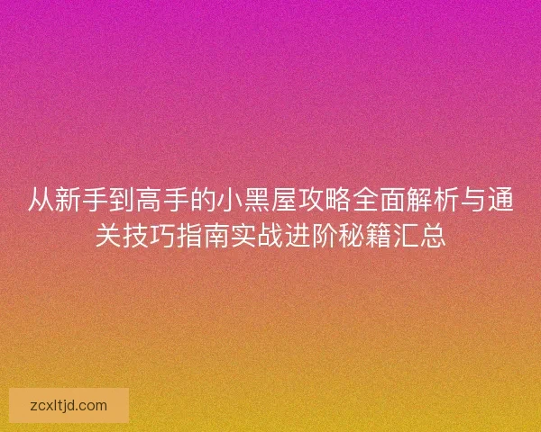从新手到高手的小黑屋攻略全面解析与通关技巧指南实战进阶秘籍汇总
